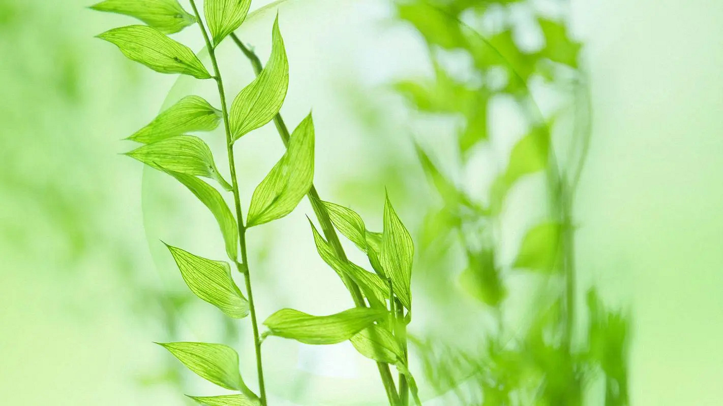 《英雄聯盟》2024最火最好聽的網名介紹