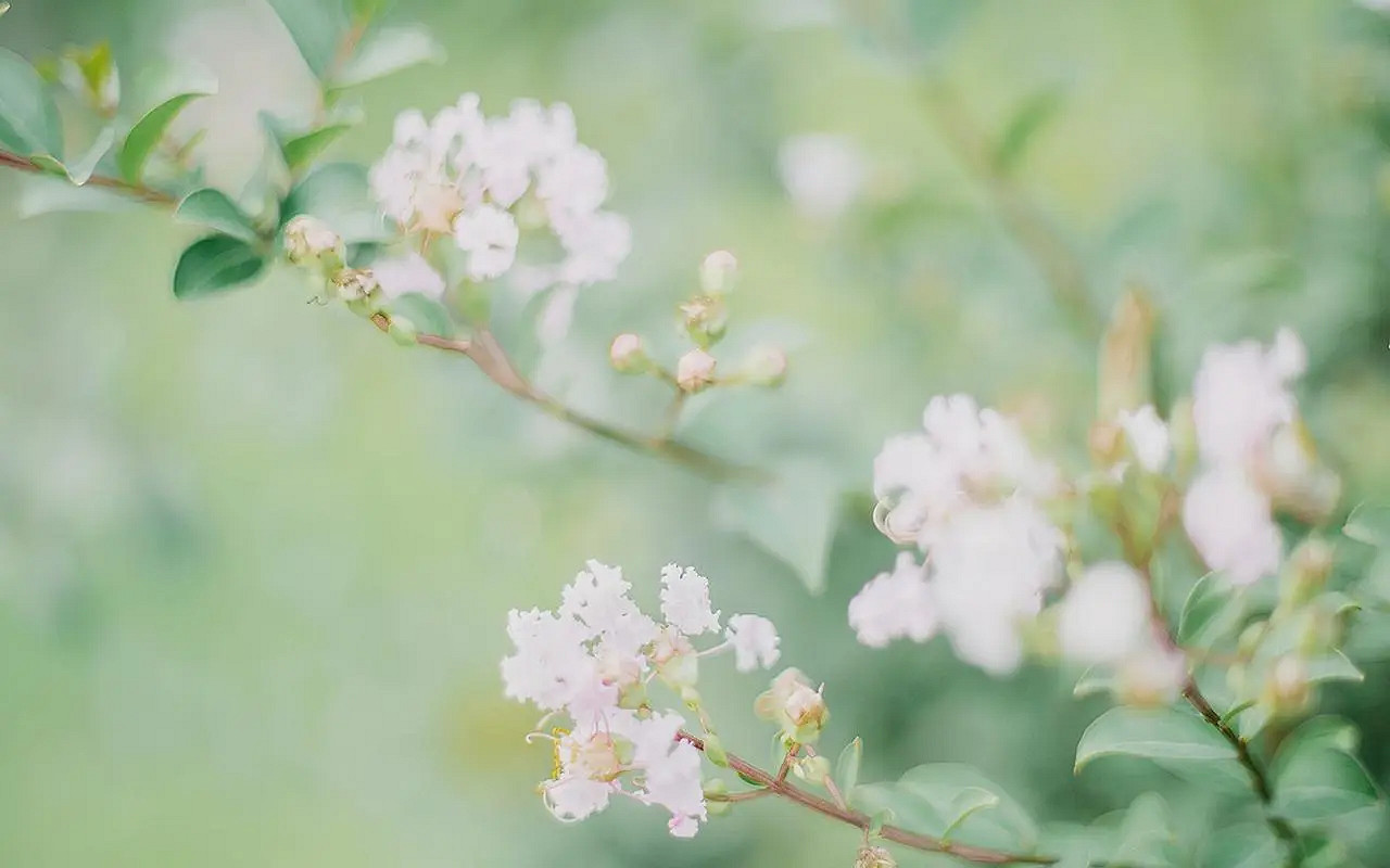 《英雄聯盟》2024最火最好聽的網名介紹