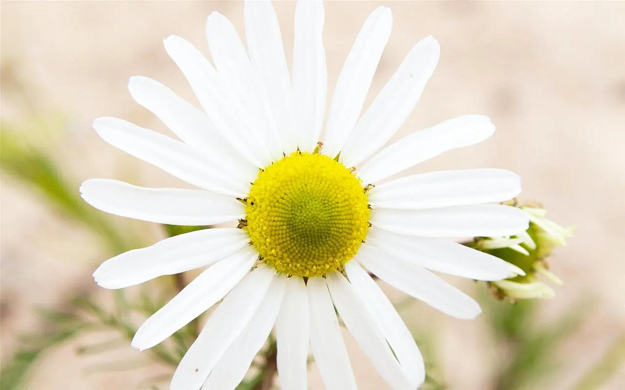 《英雄聯盟》2024最火最好聽的網名介紹