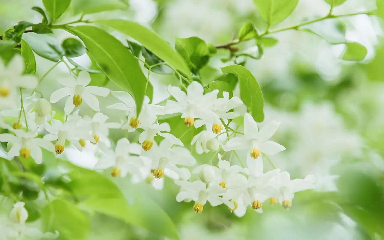 《英雄聯盟》2024最火最好聽的網名介紹