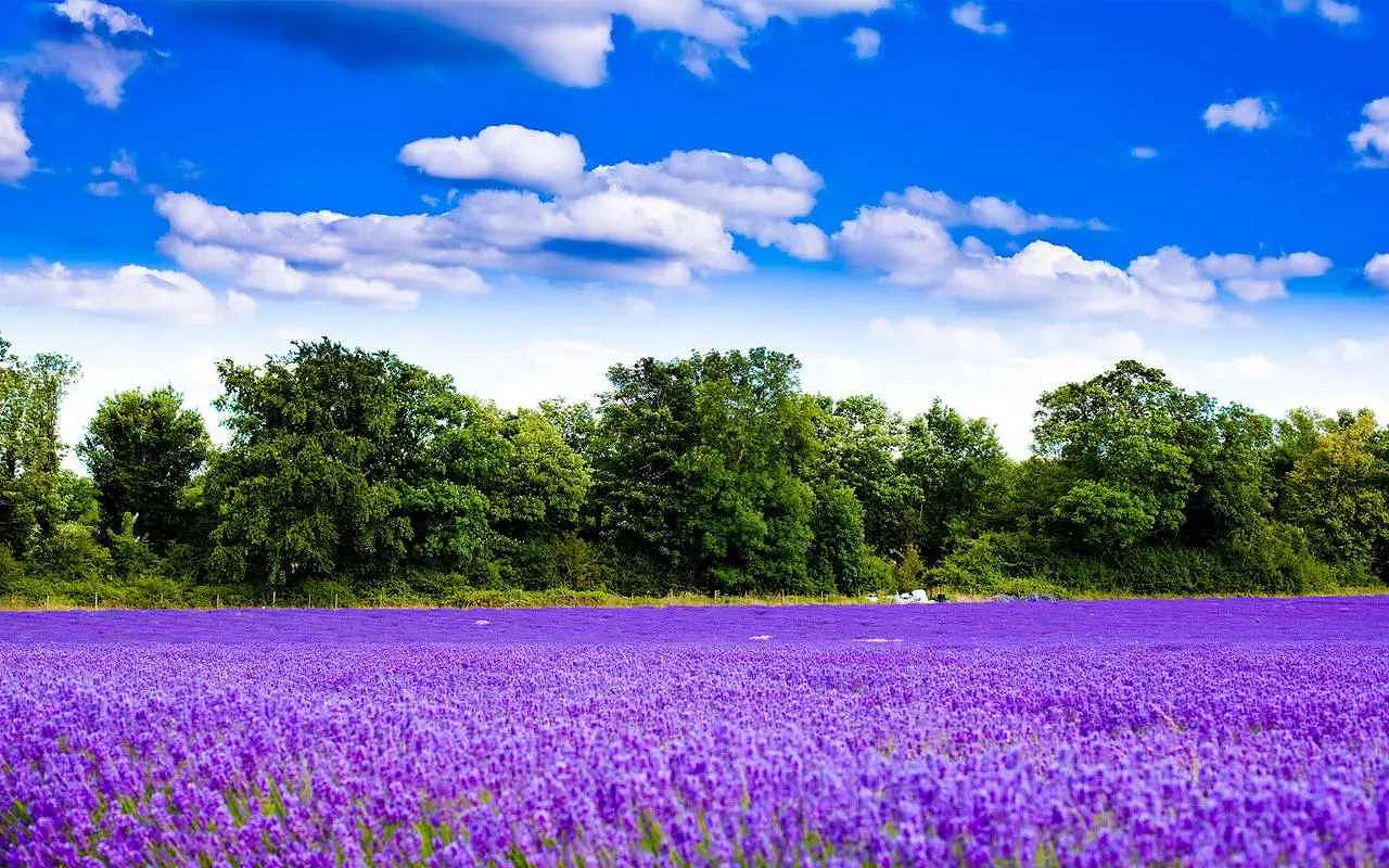 《英雄聯盟》高冷暱稱2個字一覽