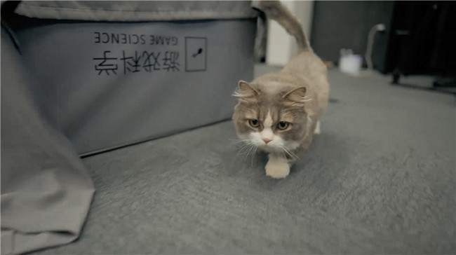 黑神話首支紀錄片獨家首播: 路在腳下|對話楊奇:《黑神話:悟空》的美術開發之路 黑神話首支紀錄片獨家首播: 路在腳下|對話楊奇:《黑神話:悟空》的美術開發之路