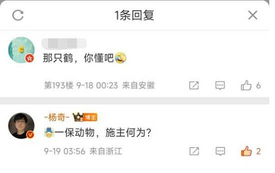 四妹沒有你我怎麽活啊！楊奇回應後期能否挑戰鶴仙人