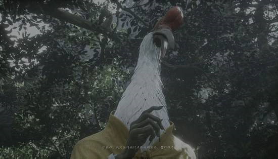 四妹沒有你我怎麽活啊！楊奇回應後期能否挑戰鶴仙人