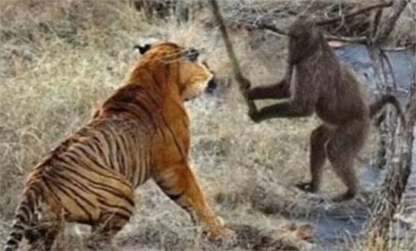 《黑神話:悟空》相關考究:黃風嶺篇