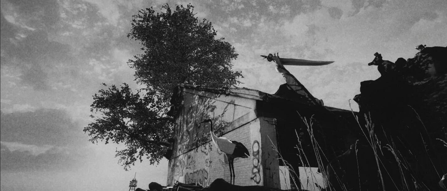 《鳥(TO:RI)》登陸Steam商店頁面 預計2025年發售 《鳥(TO:RI)》登陸Steam商店頁面 預計2025年發售