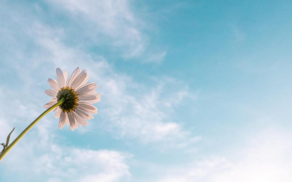 《英雄聯盟》三字遊戲名大全