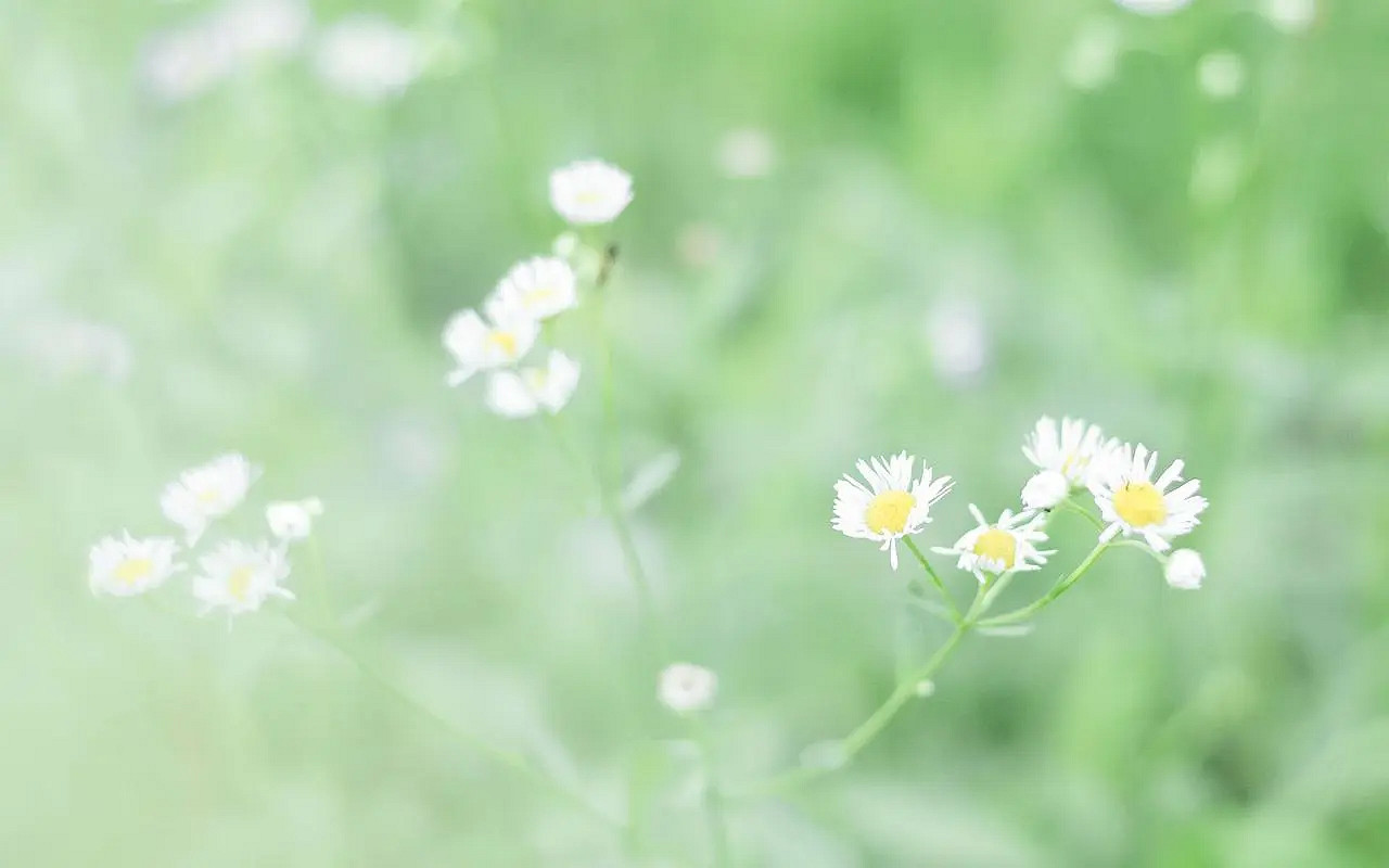 《英雄聯盟》三字遊戲名大全