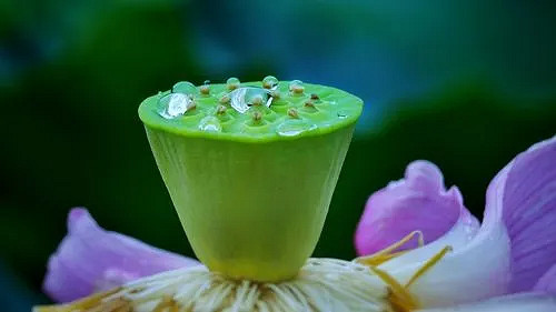 《英雄聯盟》有詩意帶風字的網名分享