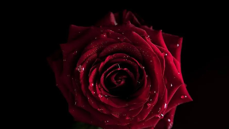 《英雄聯盟》關於葬愛的網名大全