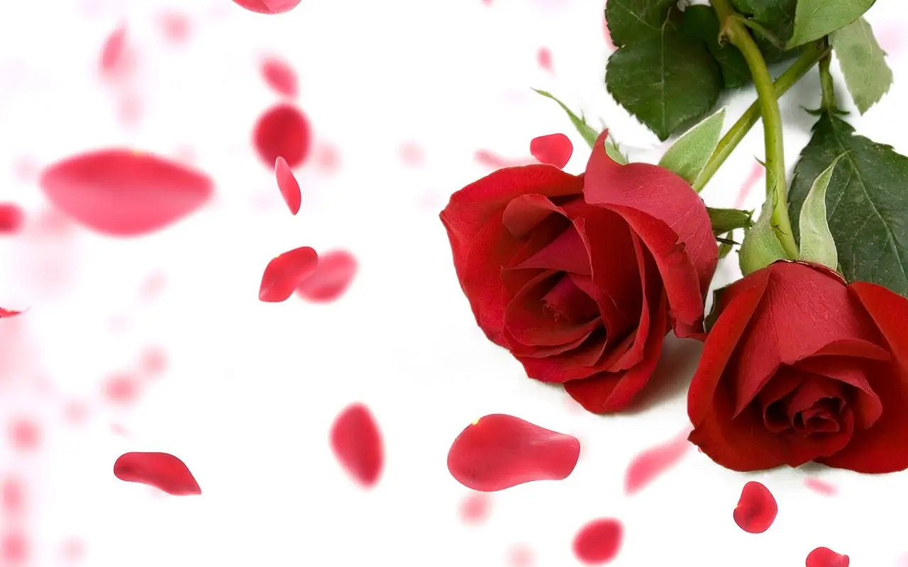 《英雄聯盟》又欲又撩的情侶名字匯總