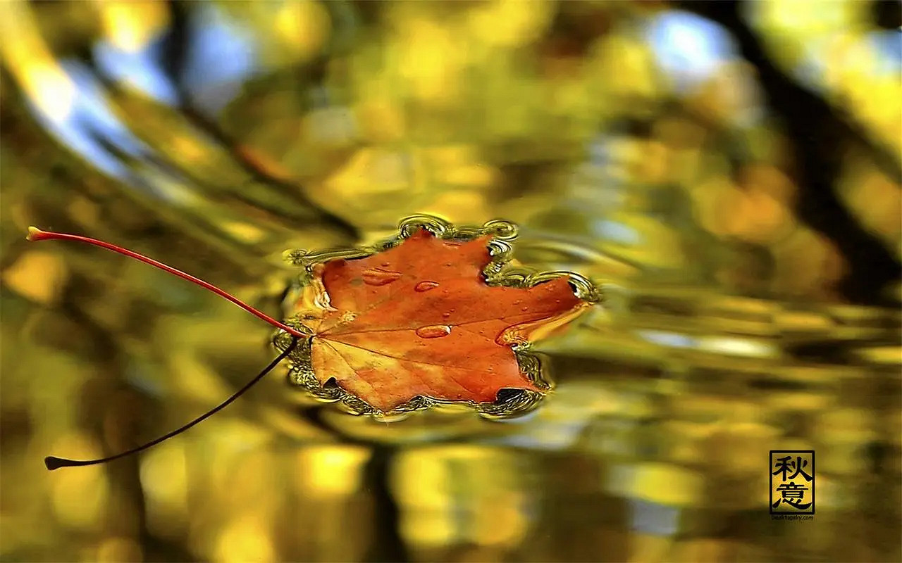 《英雄聯盟》有詩意帶風字的網名分享