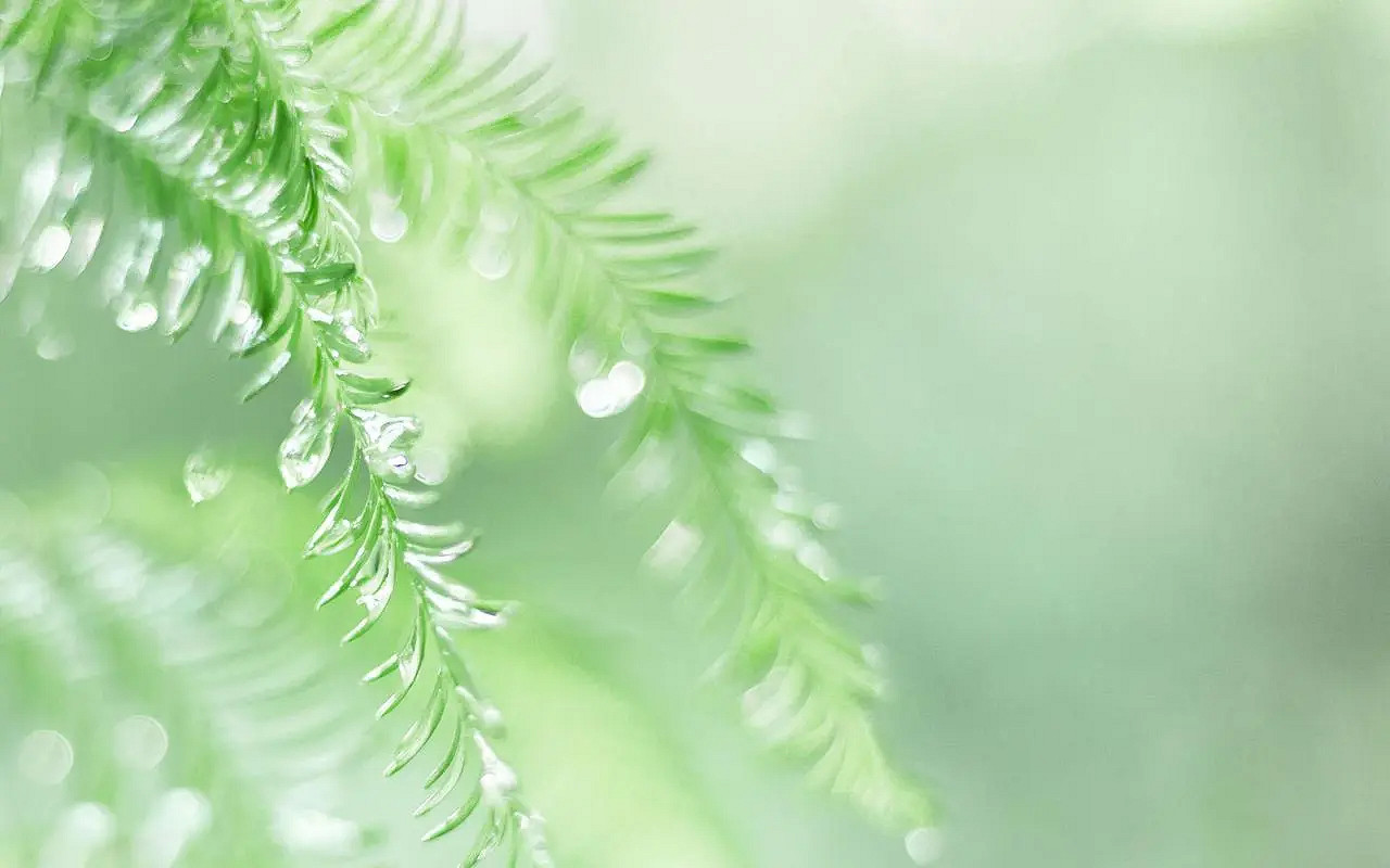 《英雄聯盟》三字遊戲名大全