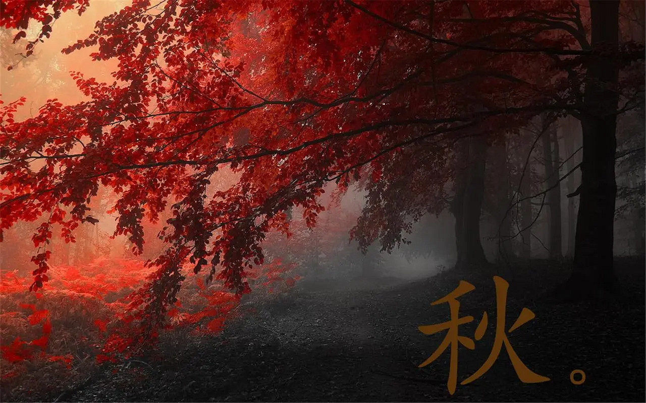 《英雄聯盟》有詩意帶風字的網名分享