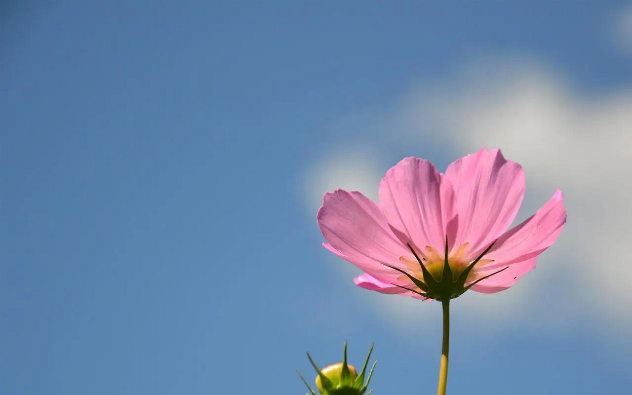 《英雄聯盟》三字遊戲名大全