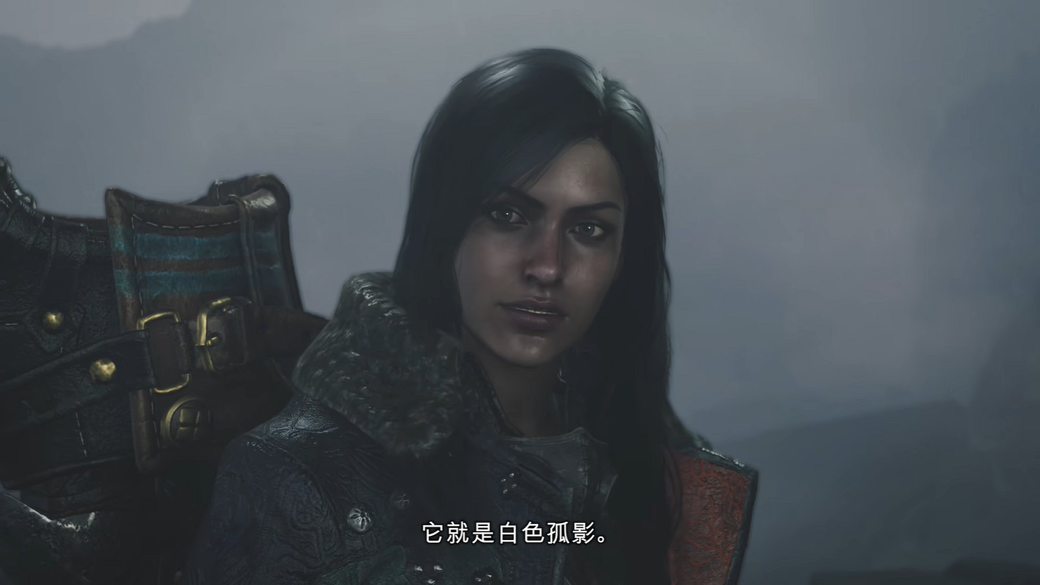 《魔物獵人:荒野》全新宣傳片公開封面怪 發售日! 《魔物獵人:荒野》全新宣傳片公開封面怪 發售日!