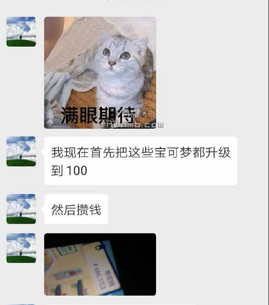 突然有點淚目 媽媽沉迷寶可夢為兒子賺下巨款 突然有點淚目 媽媽沉迷寶可夢為兒子賺下巨款