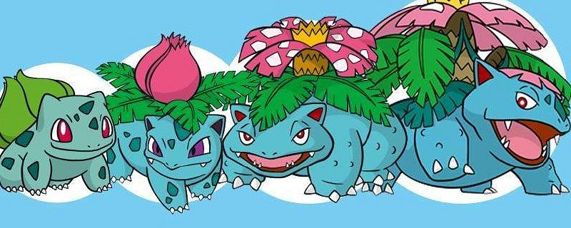 mega妙蛙花配招 mega妙蛙花配招