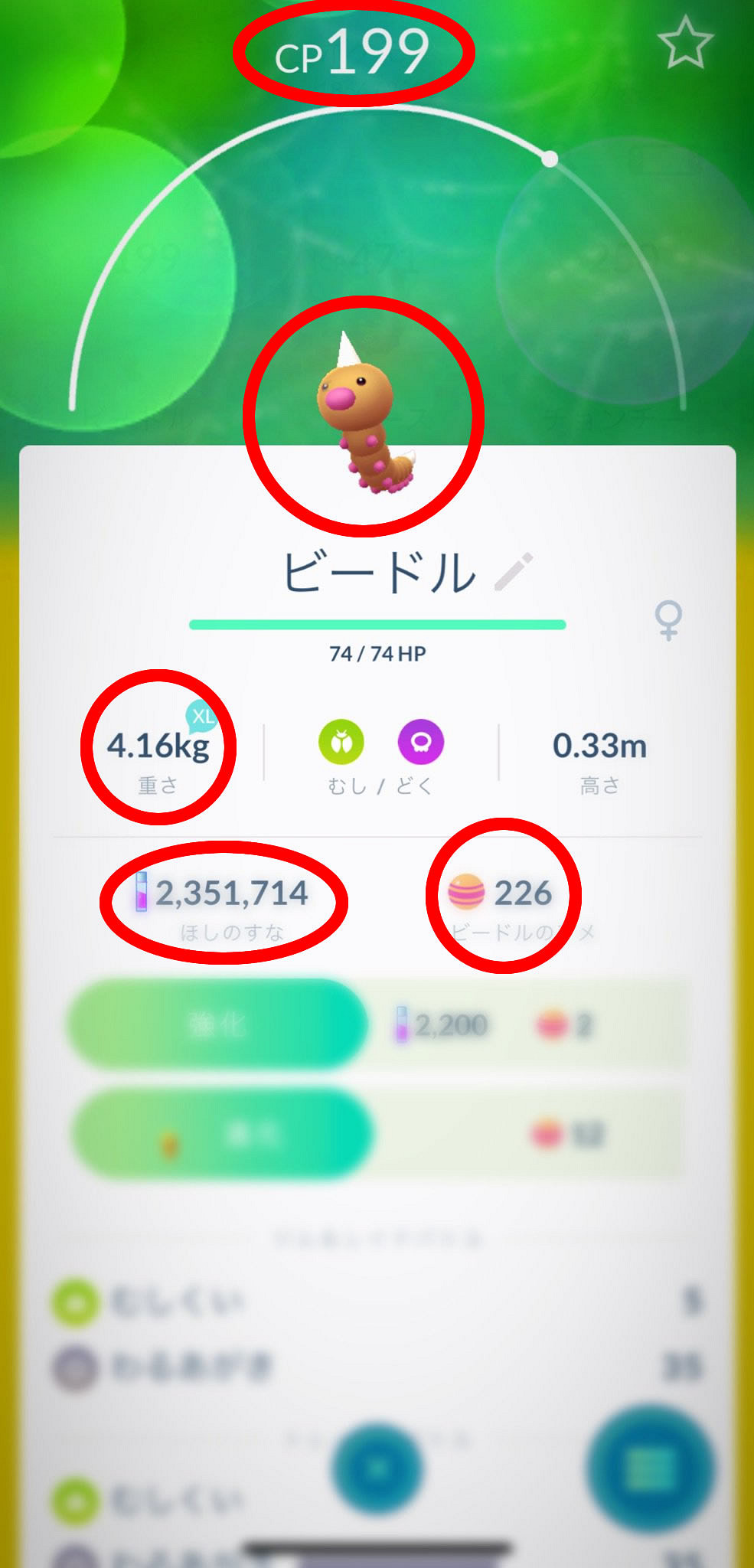 增田推特暗藏玄機 《精靈寶可夢》GEN8標題為King/Queen? 增田推特暗藏玄機 《精靈寶可夢》GEN8標題為King/Queen?