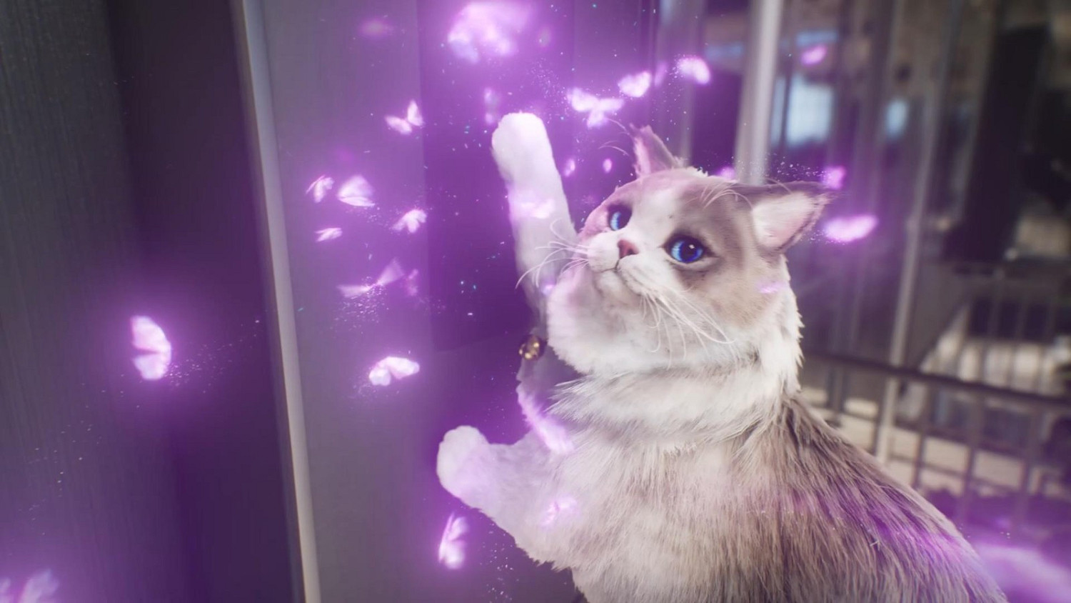 韓國模擬遊戲《inZOI》全新預告 貓貓好可愛! 韓國模擬遊戲《inZOI》全新預告 貓貓好可愛!