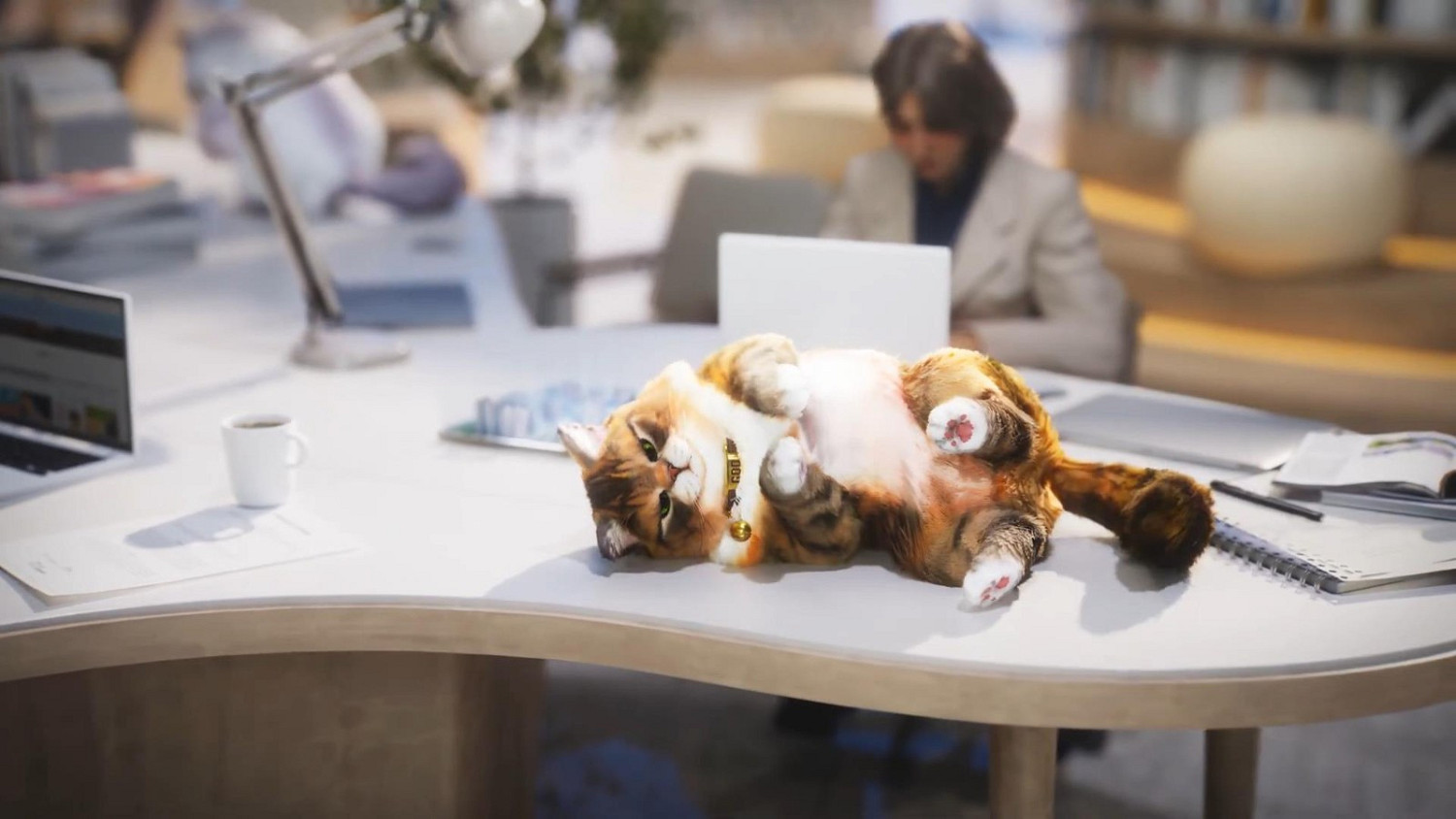 韓國模擬遊戲《inZOI》全新預告 貓貓好可愛! 韓國模擬遊戲《inZOI》全新預告 貓貓好可愛!