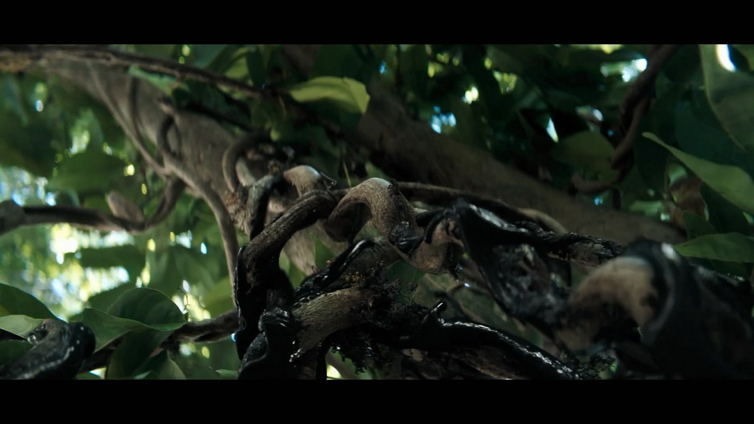 《暗黑4:憎恨之軀》真人預告片:戰鬥場面酷炫震撼! 《暗黑4:憎恨之軀》真人預告片:戰鬥場面酷炫震撼!