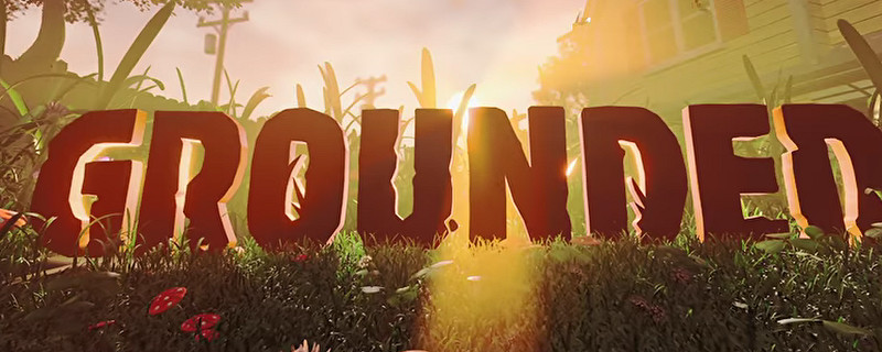 Grounded黑螞蟻套包含了哪些 Grounded黑螞蟻套包含了哪些