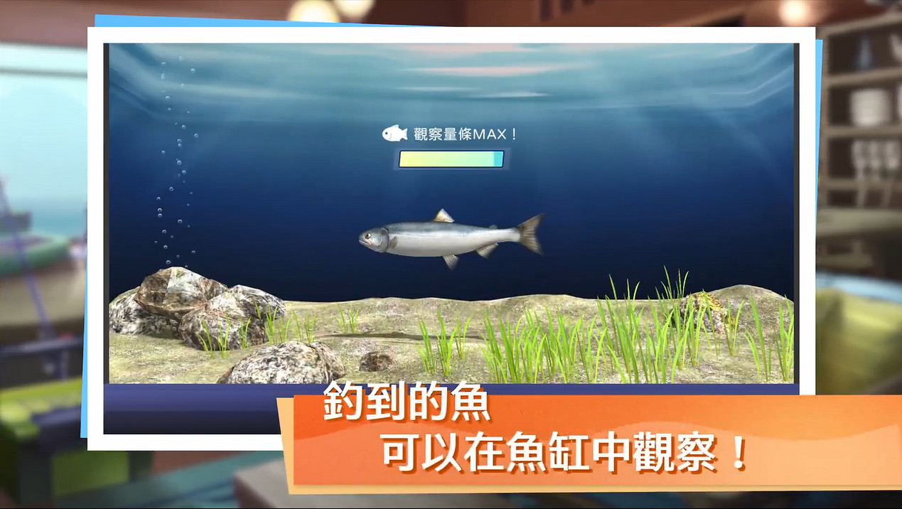 釣魚佬狂喜！《神眼釣手：夏日》中文版前導預告