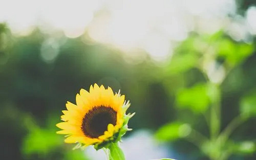 《英雄聯盟》大氣有內涵的遊戲名字一覽