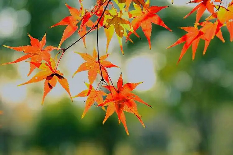 《英雄聯盟》大氣有內涵的遊戲名字一覽