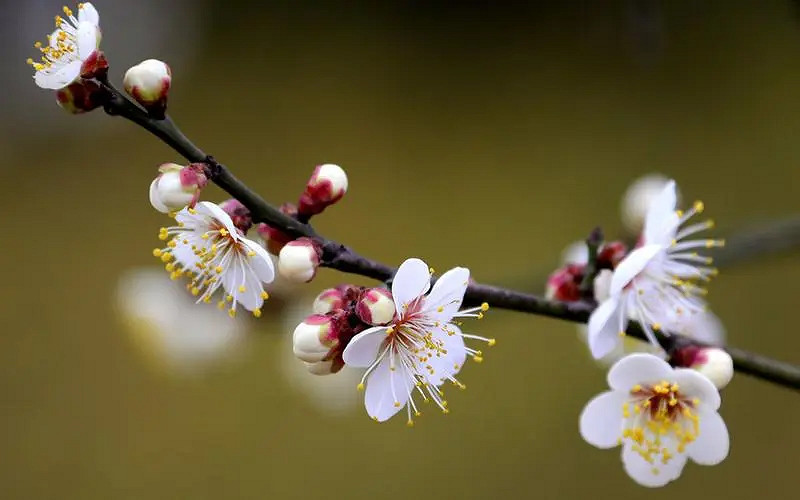 《英雄聯盟》大氣有內涵的遊戲名字一覽