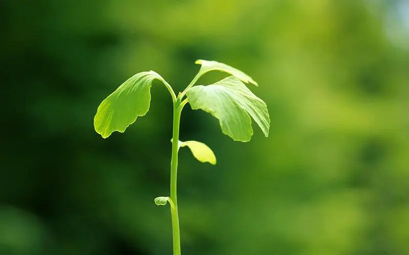 《英雄聯盟》大氣有內涵的遊戲名字一覽