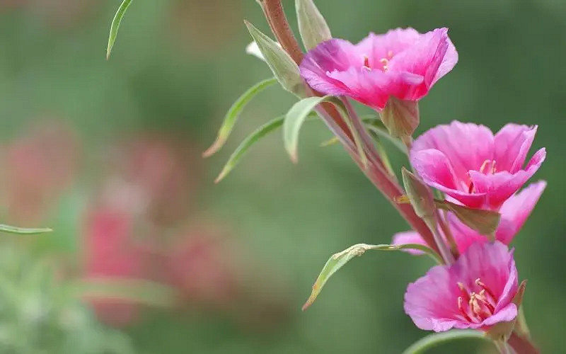 《英雄聯盟》大氣有內涵的遊戲名字一覽
