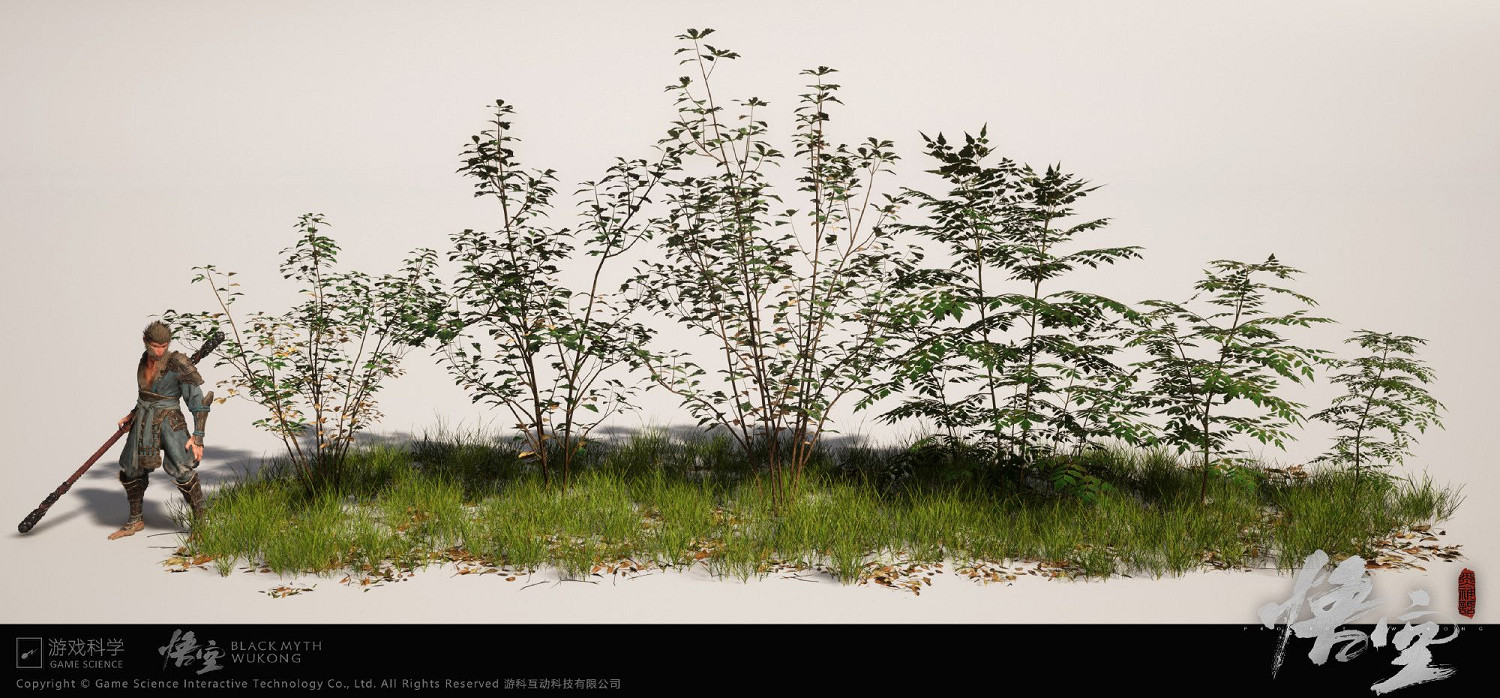 《黑神話：悟空》植被建模公布 氛圍質感令人驚豔！