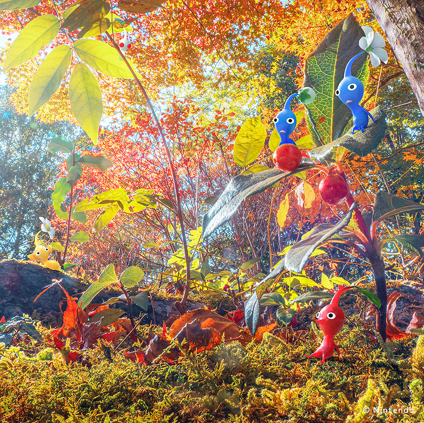 任天堂發布《皮克敏》系列秋季主題插畫！構圖生動