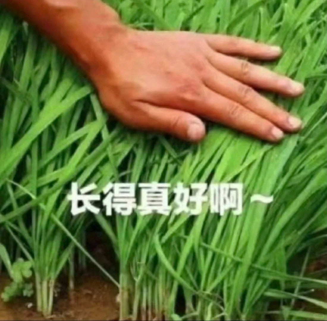 各大遊戲重製版頻出不窮，經典重現還是“割韭菜”？