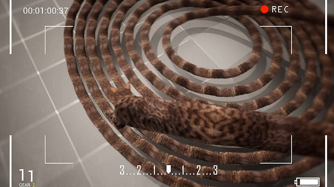 貓咪變賽車?競速遊戲《貓咪漂移》登陸Steam商店 貓咪變賽車?競速遊戲《貓咪漂移》登陸Steam商店