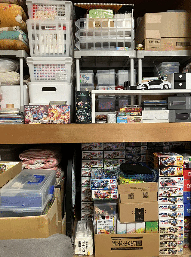 38歲大齡女玩家曬幸福小天地：數量驚人的遊戲/四驅車