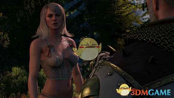 《巫師3:狂獵》【新手福利】女性NPC換衣程式碼大全 《巫師3:狂獵》【新手福利】女性NPC換衣程式碼大全