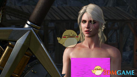 《巫師3:狂獵》【新手福利】女性NPC換衣程式碼大全 《巫師3:狂獵》【新手福利】女性NPC換衣程式碼大全