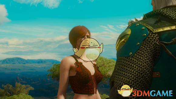 《巫師3:狂獵》【新手福利】女性NPC換衣程式碼大全 《巫師3:狂獵》【新手福利】女性NPC換衣程式碼大全