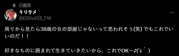 38歲大齡女玩家曬幸福小天地：數量驚人的遊戲/四驅車