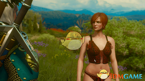 《巫師3:狂獵》【新手福利】女性NPC換衣程式碼大全 《巫師3:狂獵》【新手福利】女性NPC換衣程式碼大全