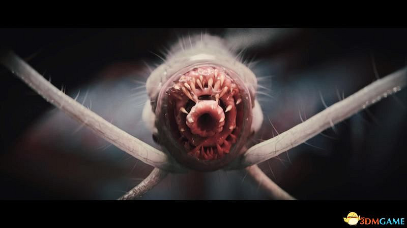 《柏德之門3》攻略百科 全任務流程全地圖指引及系統教學 《柏德之門3》攻略百科 全任務流程全地圖指引及系統教學