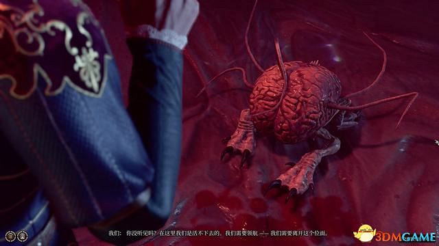 《柏德之門3》攻略百科 全任務流程全地圖指引及系統教學