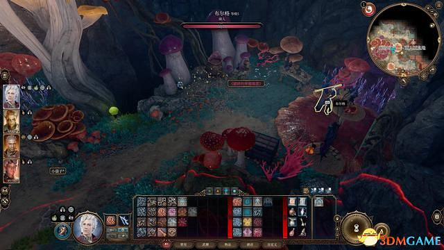 《柏德之門3》攻略百科 全任務流程全地圖指引及系統教學 《柏德之門3》攻略百科 全任務流程全地圖指引及系統教學