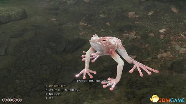 《柏德之門3》攻略百科 全任務流程全地圖指引及系統教學