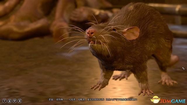 《柏德之門3》攻略百科 全任務流程全地圖指引及系統教學