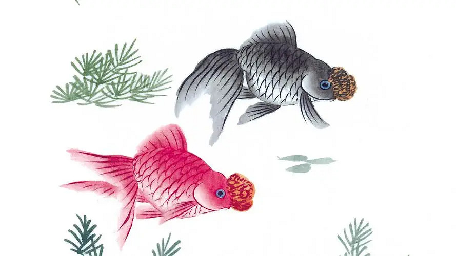 《英雄聯盟》詩經裡的好名字大全