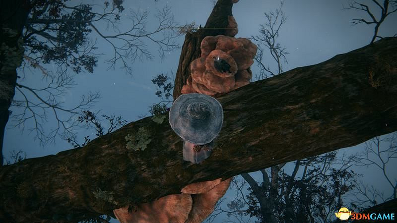 《艾爾登法環》圖文全劇情流程攻略 全支線全收集全Boss打法攻略